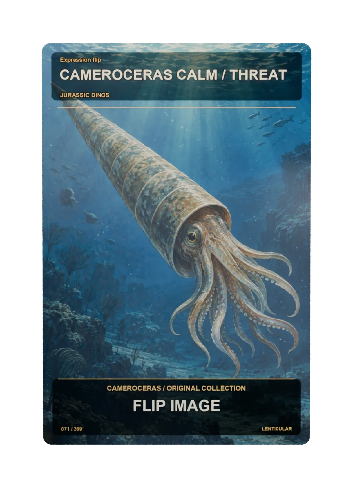 Cameroceras Expression flip card front