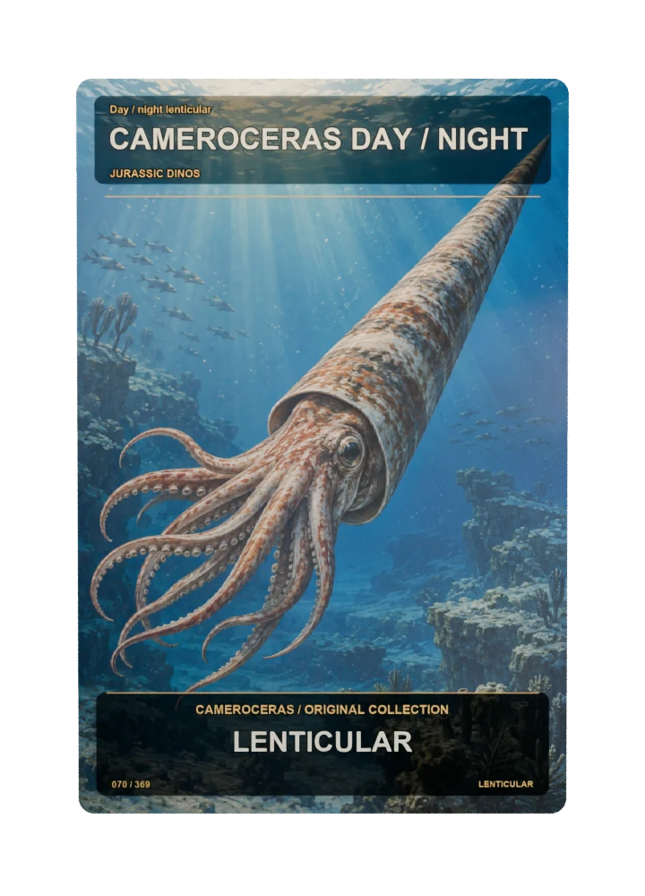 Cameroceras Day / night lenticular card front