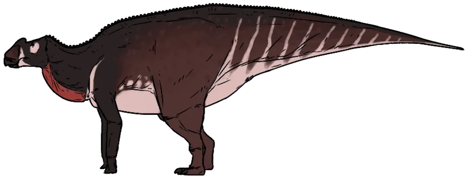 This Aralosaurus restoration supplies a whole body and colour pattern