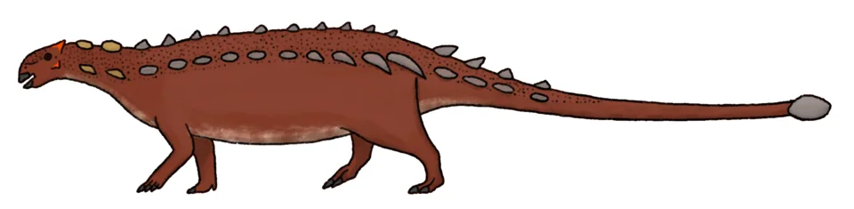 This whole-body Bissektipelta restoration uses comparisons for anatomy beyond the well-studied braincases; armour and colours are interpretive