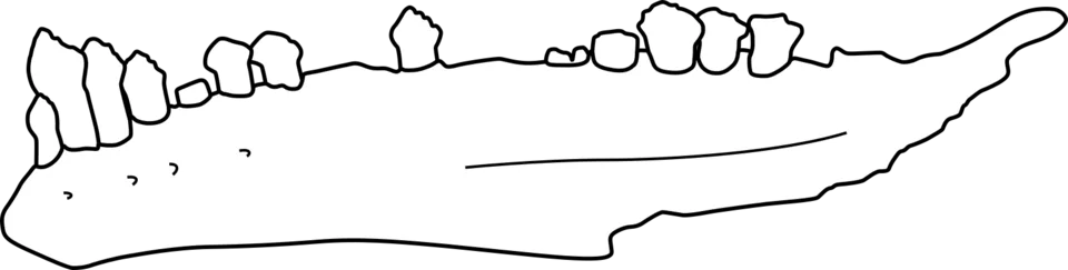 A drawing of Emausaurus jaw material focuses on the tooth-bearing bone rather than inventing a complete armour arrangement
