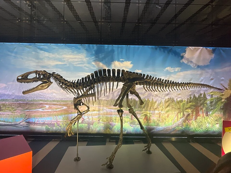 The Fukuiraptor mount shows a predatory theropod skeleton, with large hand claws distinct from a raptor-style foot claw