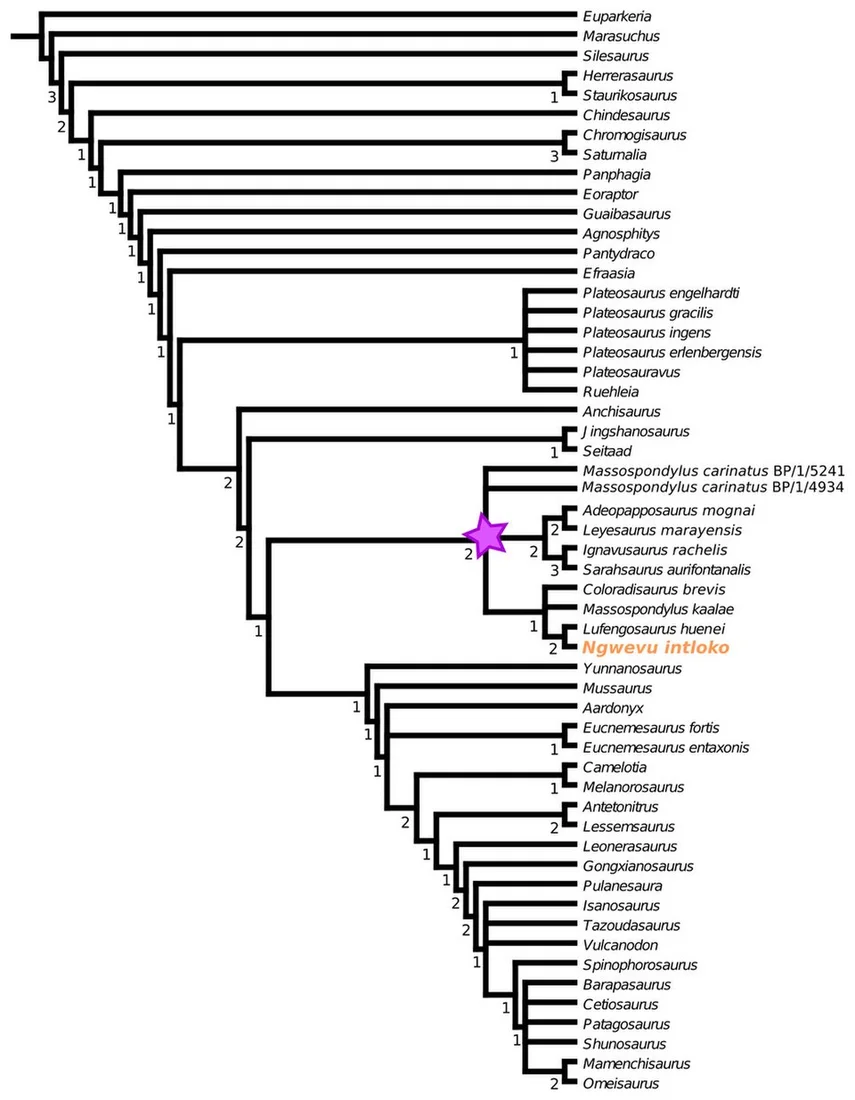 This published sauropodomorph family tree includes Gongxianosaurus