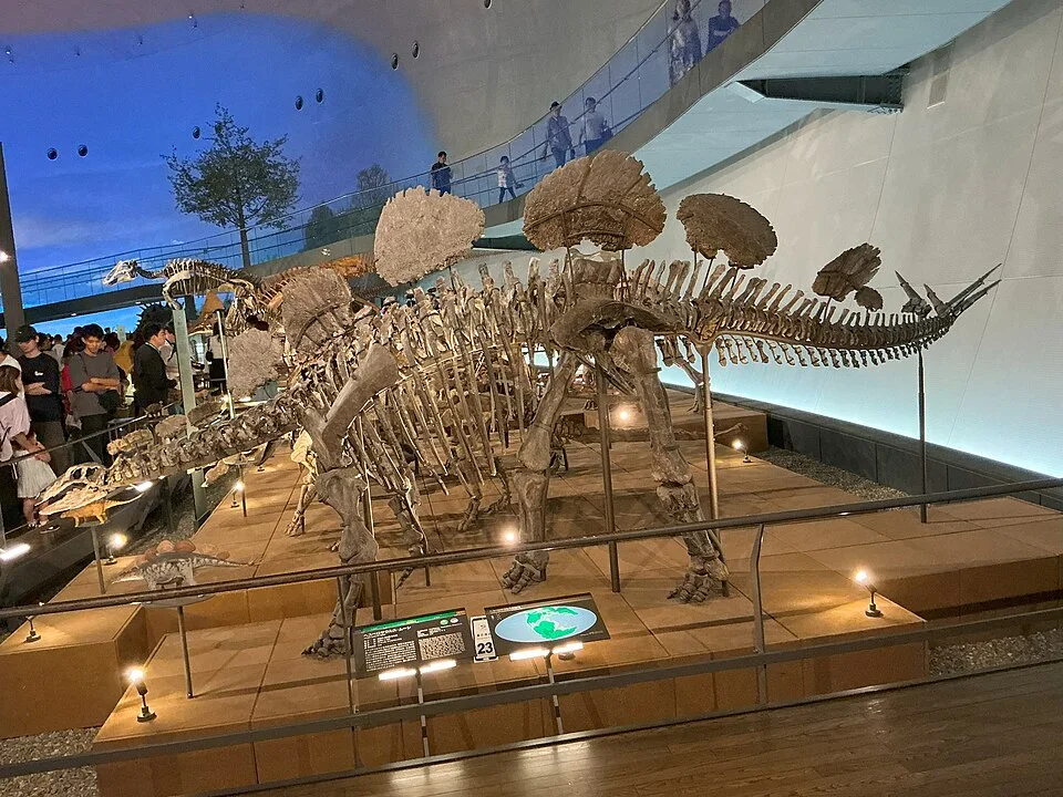 The Hesperosaurus mount displays back plates and a spiked tail; the living plate covering extended beyond bare fossil bone