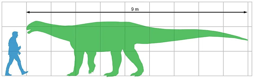 An estimated Ingentia silhouette is compared with a person