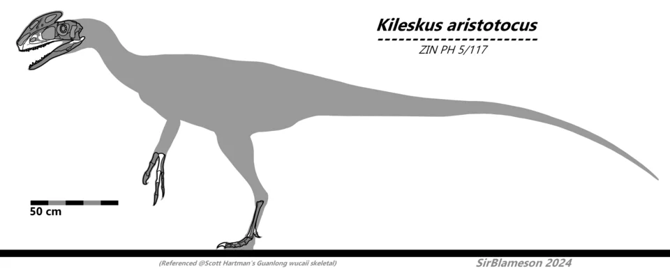 The Kileskus silhouette places limited skull material within an inferred body