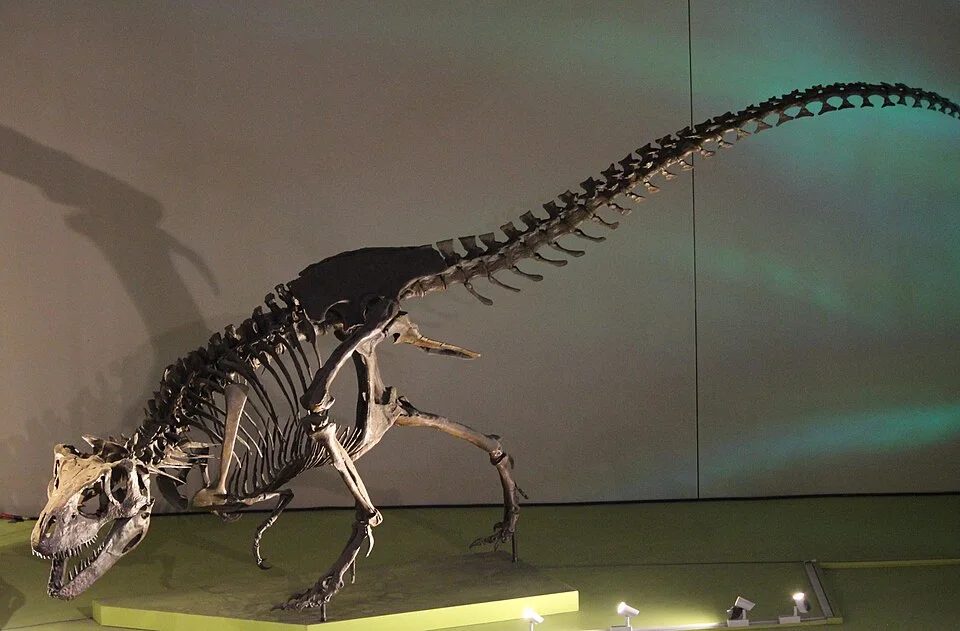 A Nanuqsaurus mount supplies a whole-body interpretation from limited fossil material and comparisons with other tyrannosaurs