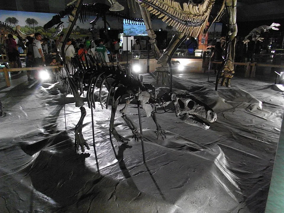 The foreground Rhabdodon mount presents an ornithopod skeleton within a larger museum display; other surrounding skeletons are separate animals