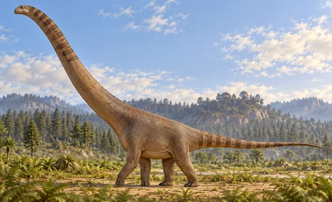 Analong — AI artistic reconstruction following the credited complete-body reference